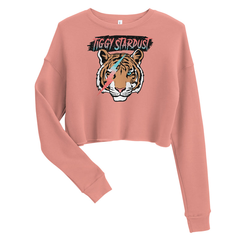 Tiggy Stardust Crop Sweatshirt